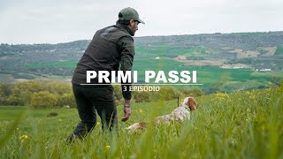 PRIMI PASSI: Come addestrare un cane da ferma partendo da zero | Episodio 3 | Setter Inglese