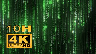 Matrix Screensaver Rain Code 10H 4K