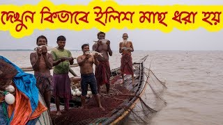 মেঘনা নদীতে কিভাবে ইলিশ মাছ ধরা হয় দেখুন, How Hilsa is caught from The river Meghna