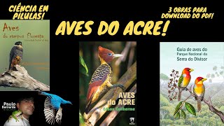 AVES DO ACRE - CIÊNCIA EM PÍLULAS!