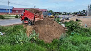 Wonderful Project Operator Skills Bulldozer D311P Pushing Soil And 5Ton Truck Unloading Soil