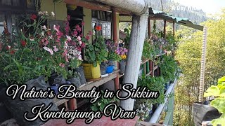 Nature's Beauty from Homestay Sikkim -Kanchenjunga View| Gangtok Homestay