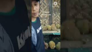 Makan Durian di kebon Warso di Kabupaten Bogor...Coba yuk!