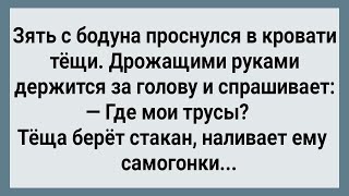 Как Зять После Пьянки с Тещей Проснулся! Сборник Свежих Анекдотов! Юмор!