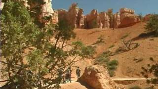 TrekAmerica Official Video - Bryce National Park