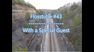 flosstube #43 Special Guest Stitcher with lots of fun and laughter!!