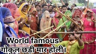 गोकुल में होली कैसे खेलते हैं?जानिए 2024!😍lathmar holi barsana 2024 travel vlog braj ki holi