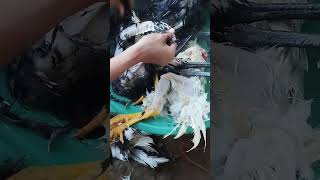 #for #food #chicken #shorts #video #caption #highlight #philippines