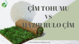 ÇİM TOHUMU VS HAZIR RULO ÇİM / ÇİM TOHUMU VE HAZIR RULO ÇİM KARŞILAŞTIRMASI / ÇİM NASIL EKİLİR?