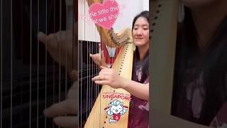 NDP Song It's The Little Things on Harp 🎶