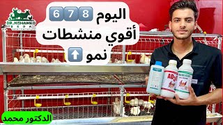 اعمل اي للفراخ 🐔 اليوم السادس والسابع والثامن أقوي منشط نمو للكتاكيت 🐥