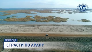 Страсти по Аралу | @rgo_films | Аральское море | Пустыня Аралкум