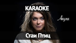 Акула - Стаи птиц (Караоке)