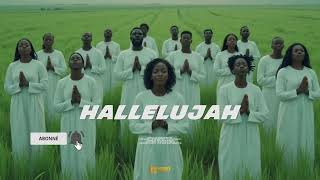 Hallelujah - Afro Love x Afrobeat Instrumental 2024 | Tayc x Gospel Type Beat