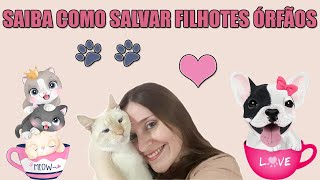 Receita para salvar filhotes de cães e gatos