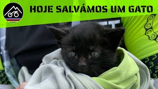 Salvámos um gato, no treino de bike