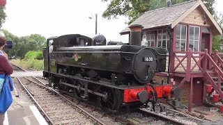 2019 Jul 18 The Kent and East Sussex Railway at Tenterden