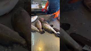 Very impressive cleaning of Fish scales. #ofwtaiwan #taiwanfood #seafood #fishingvideo #viralshort