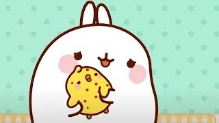 Molang dan Piu Piu | Chicken Pox | Kartun Lucu Anak Anak | Molang Bahasa