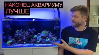 КАК РЕШАТЬ ПРОБЛЕМЫ В МОРСКОМ АКВАРИУМЕ