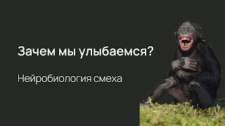 Нейробиология улыбки и смеха