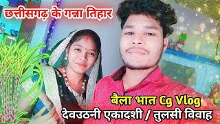 छत्तीसगढ़ के गन्ना तिहार । Haman Kaise Manaye हन 🥳 Cg Vlog By Pankaj Cg Vlogs । Ekadashi Tihar ।