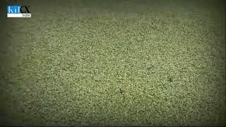 Investigative Concerns Arise Over Turf Quality at Lala Ayub Hockey Stadium