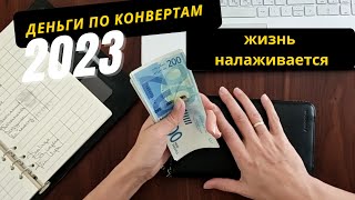 💰Новое распределение наличных по конвертам 🙀 Лечим котов. Строим крышу и планы на осень ✈️ #деньги