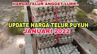 Update harga telur puyuh JANUARI 2022