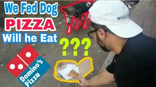 Will Dog Eat Dominos Pizza? | Domino's Pizza | Dominos pizza | Dog eating pizza | Delhi | Amdavadi