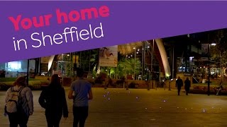 Liberty Living City Guide: Sheffield