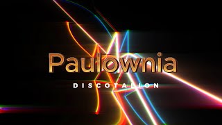 Discotalion - Paulownia