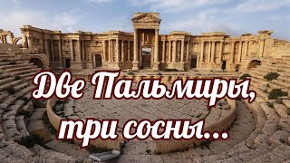 Две Пальмиры, три сосны.