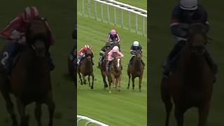 Kerdos Wins Betfred Temple Stakes (Group 2) #horselifevd #horseracing #shorts #short