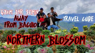 Northern Blossom Flower Farm | Atok, Benguet | ADV UPHILL TEST