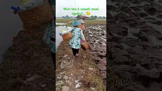 Suka duka petani... ibu-ibu hebat pejuang rupiah pekerja keras penuh keberanian..demi anaknya..