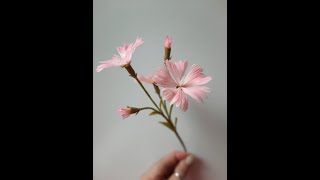 МК Полевая гвоздика из холодного фарфора🌸 Cold Porcelain Field Carnation