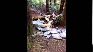 plain crash on mt. galiano