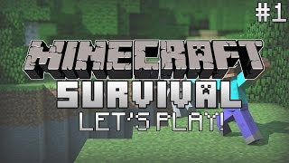 Let's Play Episode 1 | Minecraft PS4™ - PlayStation®4 Console Edition