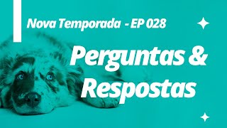 Perguntas e Respostas: Nova Temporada - Ep 028