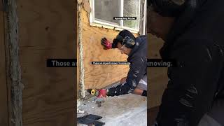 Removing Drywall screws #2024 #dewalt #dewalttools #homeimprovement #homeimprovement #home #shorts