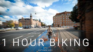 1 Hour biking in Copenhagen