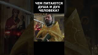 Чем питаются душа и дух человека? Священник Валерий Сосковец  #жизнь