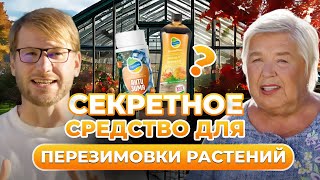 Без ЭТОГО ваши растения НЕ ПЕРЕЖИВУТ зиму ⛔️ | Топ-3 средства для перезимовки | Organic Mix 🌿