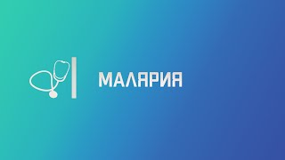 Малярия. Лекция для студента и практикующего врача.