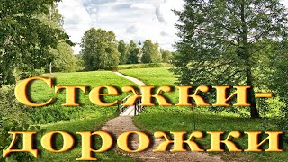 Песня "Стежки дорожки".