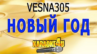 Новый год | VESNA305 | Кавер минус