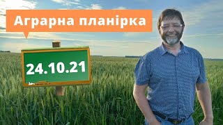 24.10.21 Як заощадити на добривах? Термінове по техніці. Розвиток. Польові роботи | Аграрна планірка