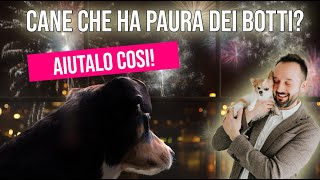 Il Cane ha paura dei botti di Capodanno. Ecco cosa fare