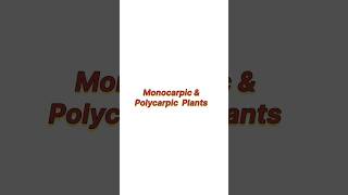 Monocarpic and polycarpic plants